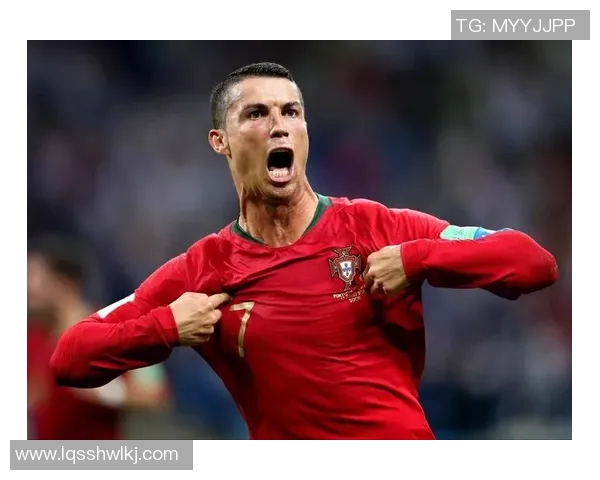 足球明星评选标准探讨如何衡量球员的实力与影响力